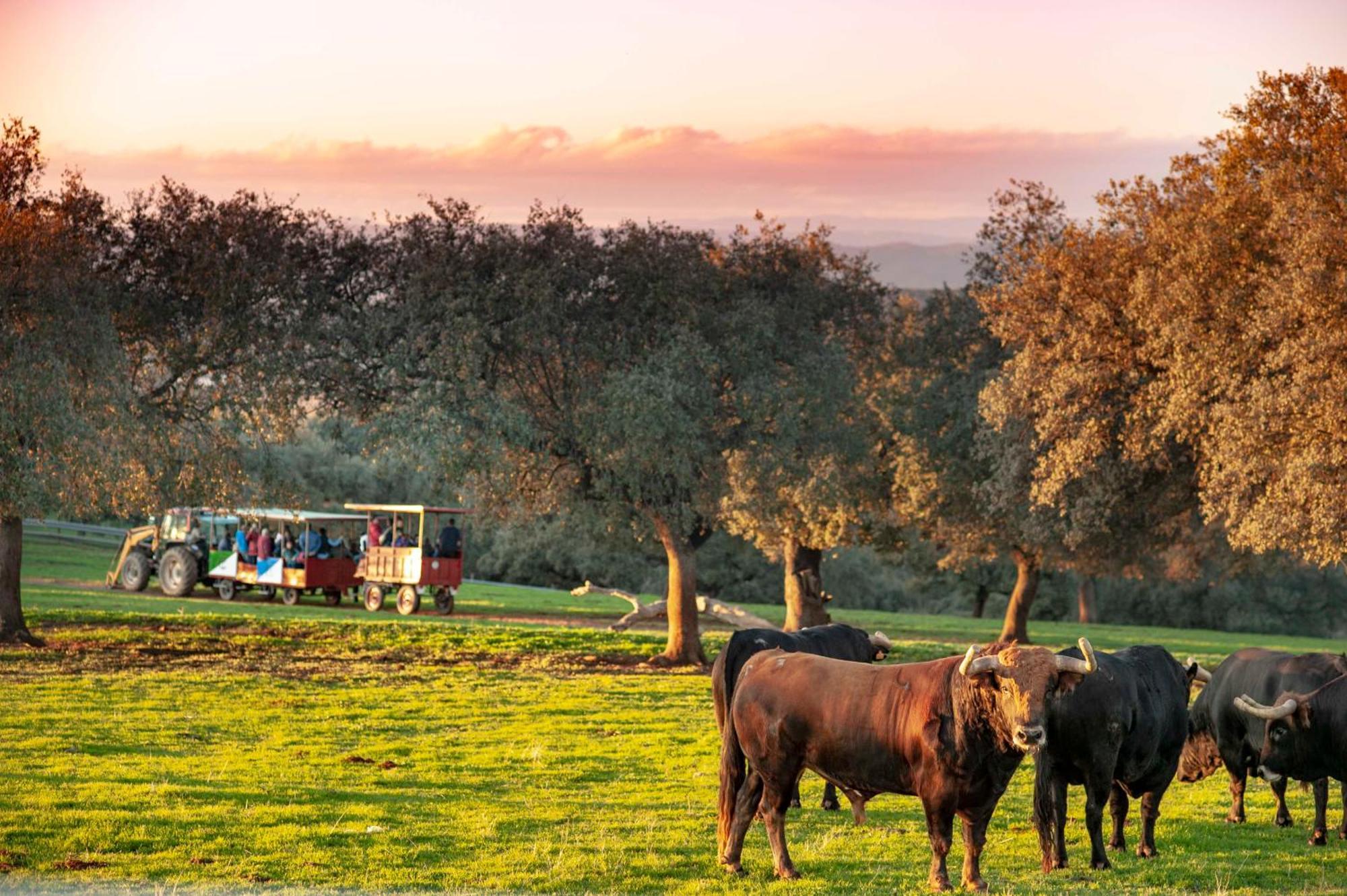 Finca El Cotillo Linares  Zewnętrze zdjęcie