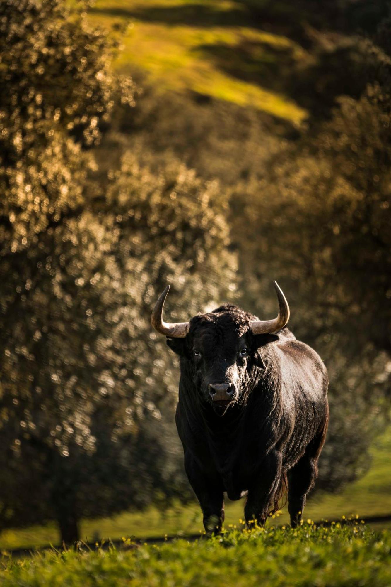 Finca El Cotillo Linares  Zewnętrze zdjęcie