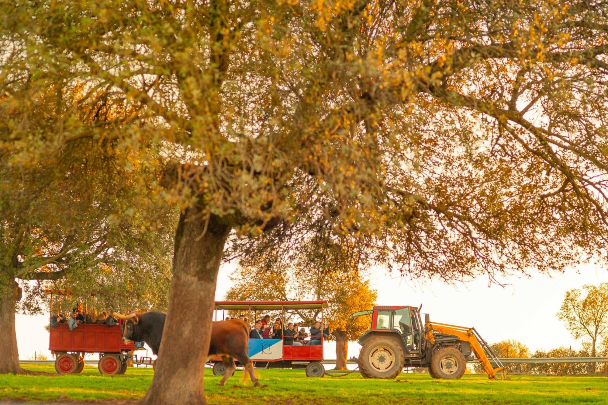 Finca El Cotillo Linares  Zewnętrze zdjęcie