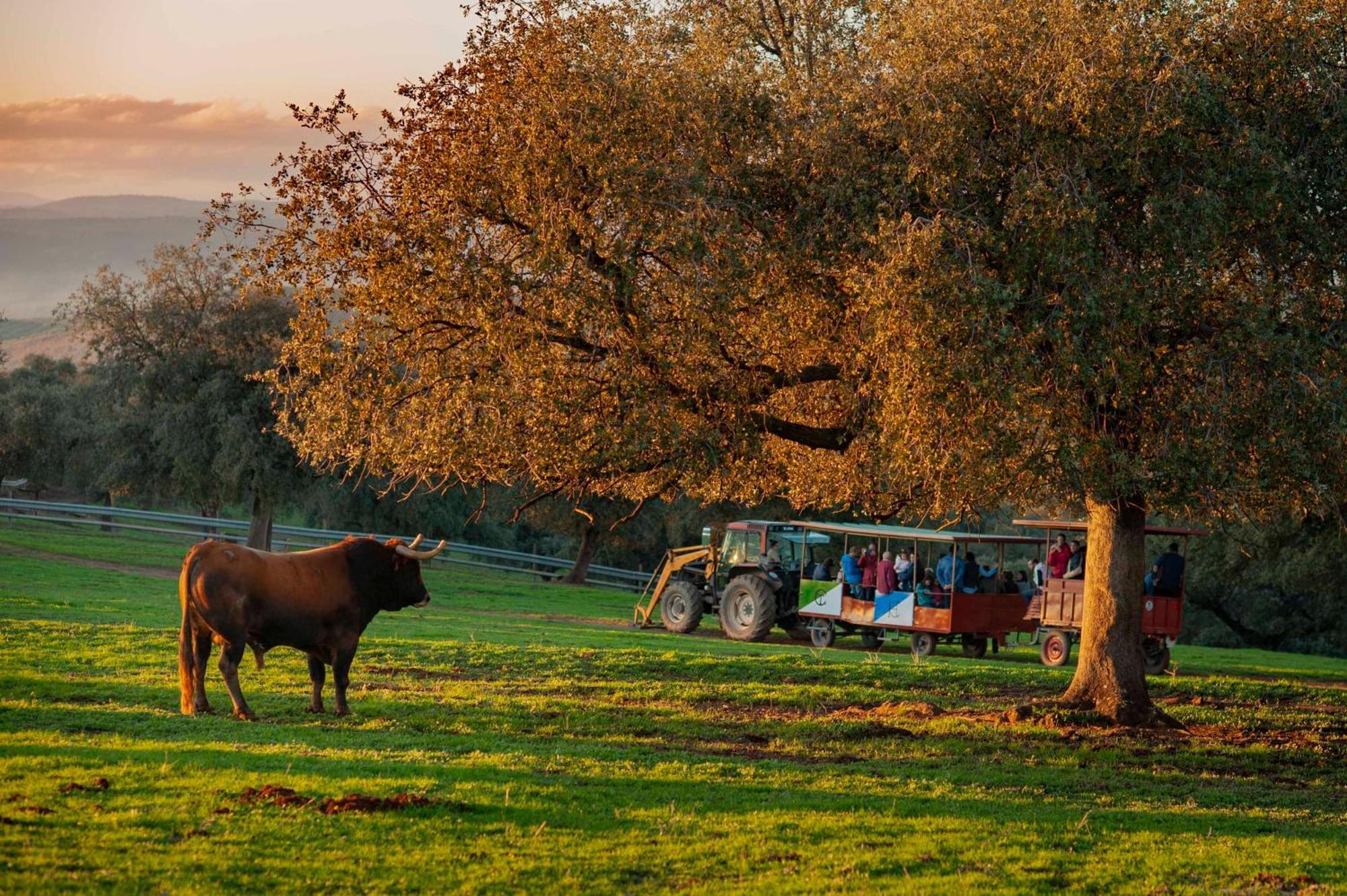 Finca El Cotillo Linares  Zewnętrze zdjęcie